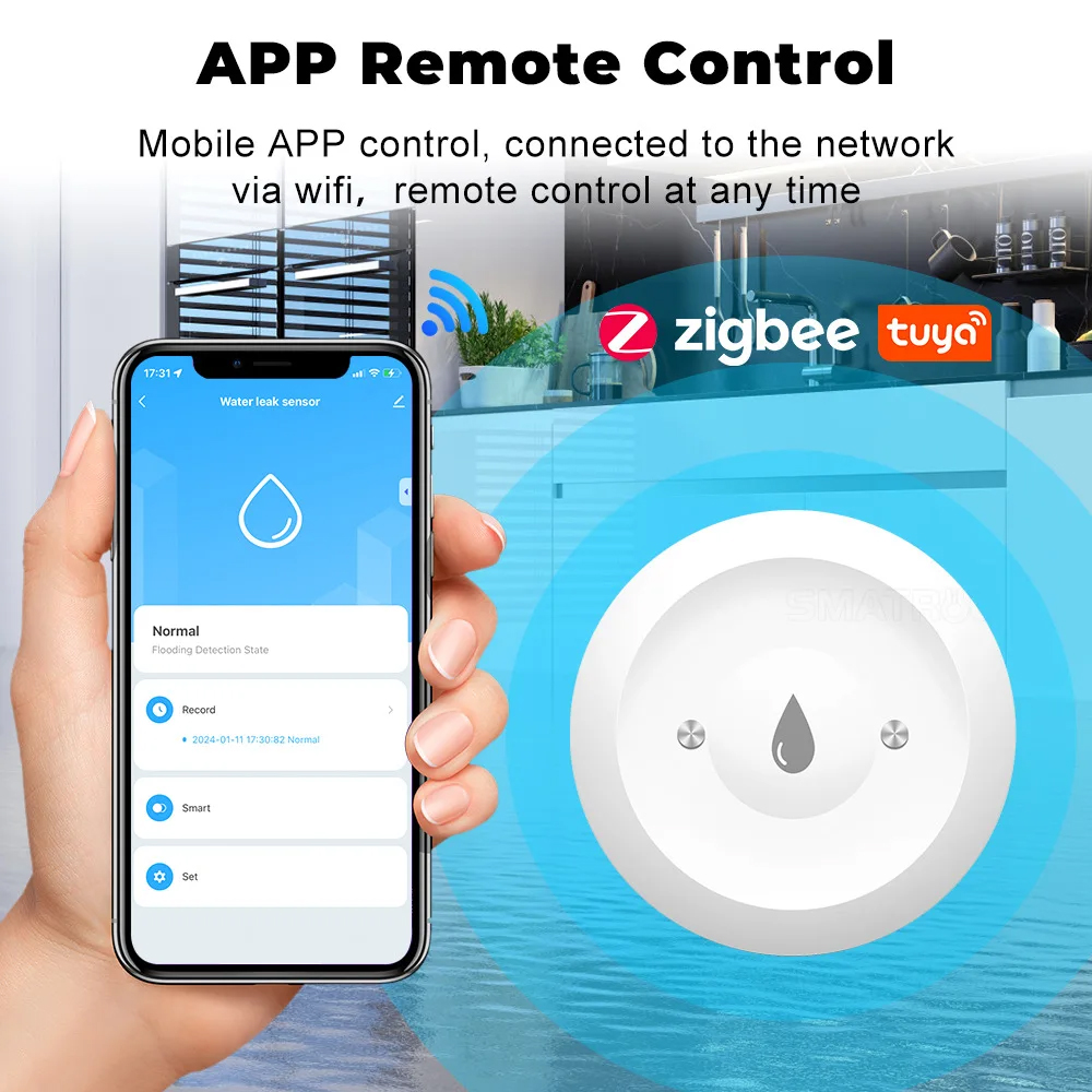Tuya ZigBee Smart Water Immers - Smart Home Outdoor review and price