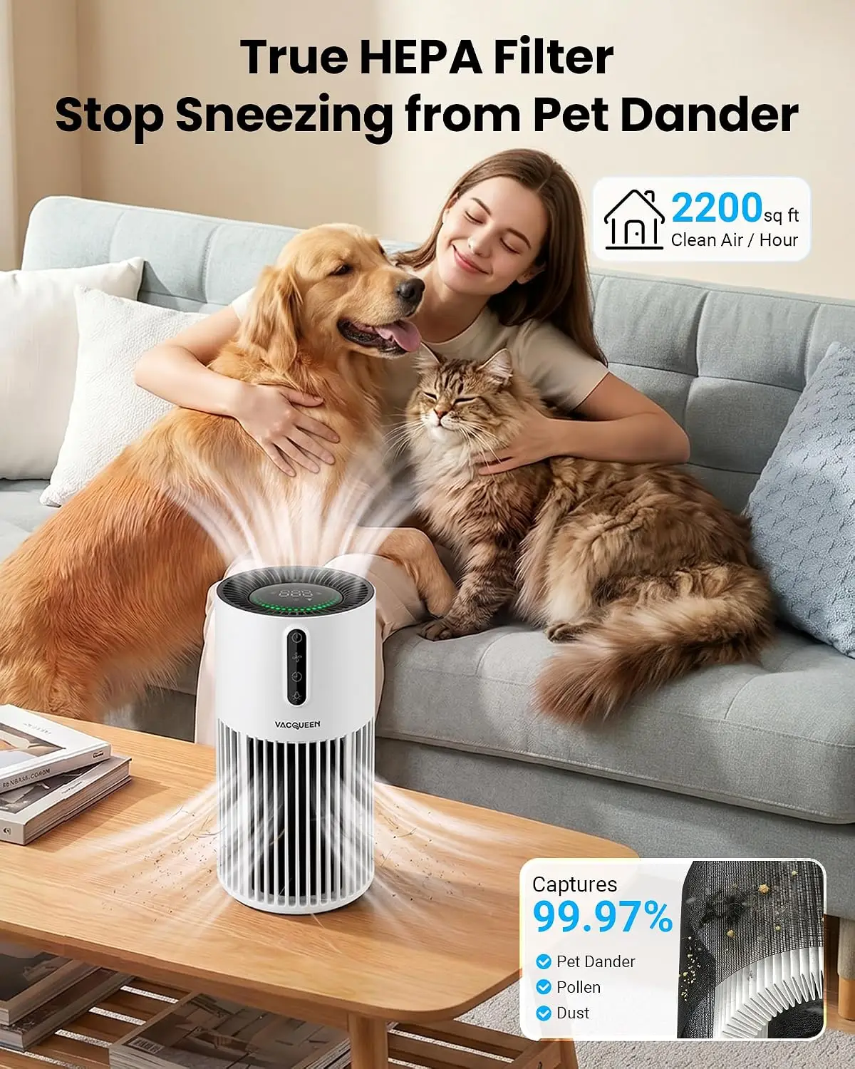 Air Purifiers for Home Pets |  - Smart Air Purifier review and price